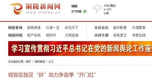 铜陵新闻爆料电话号码,揭秘市民爆料背后的故事