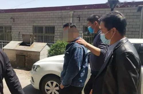 石家庄爆料逆行案件最新,惊险瞬间，交通法规再敲警钟